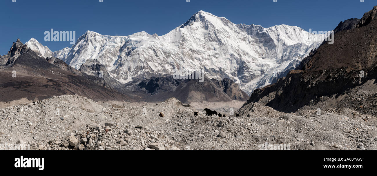 Ngozumba Gletschers, Cho Oyu, Sagarmatha National Park, Everest Base Camp trek, Nepal Stockfoto