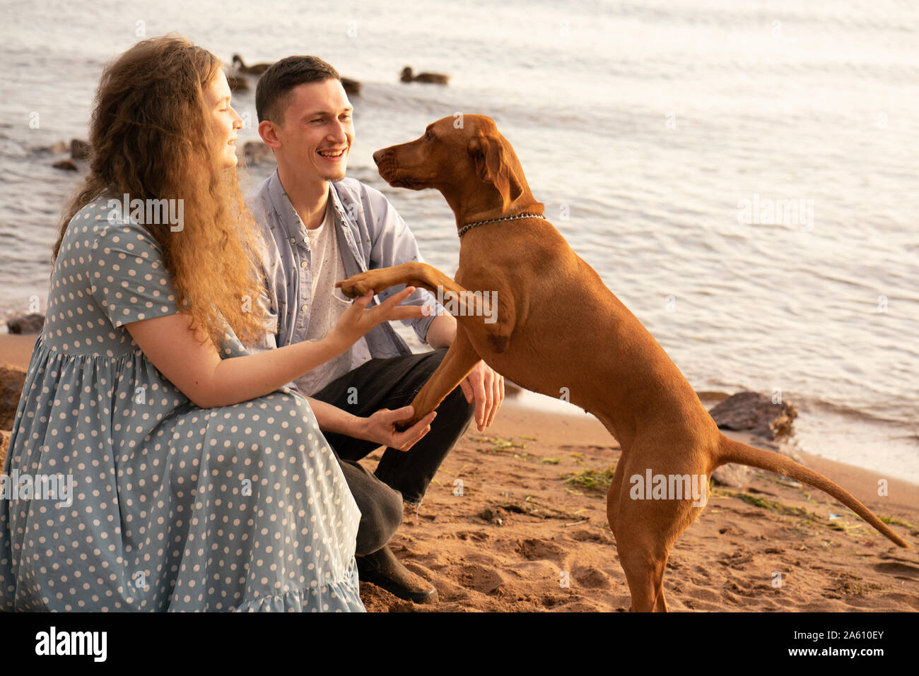 Paar mit Hund am Strand, Hund die Pfote Stockfoto