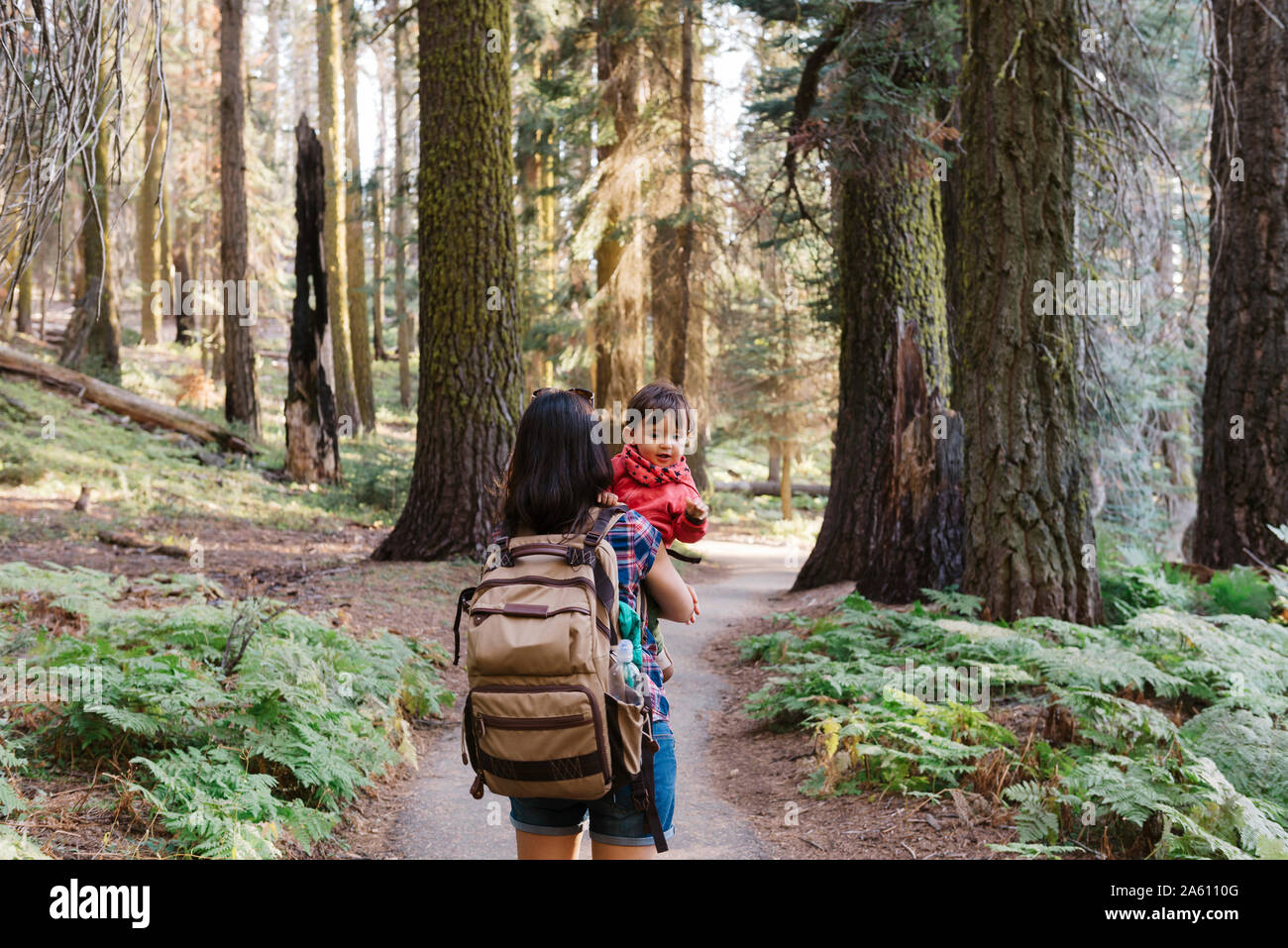 Mutter mit einem kleinen Mädchen in den Wald im Sequoia National Park, Kalifornien, USA Stockfoto