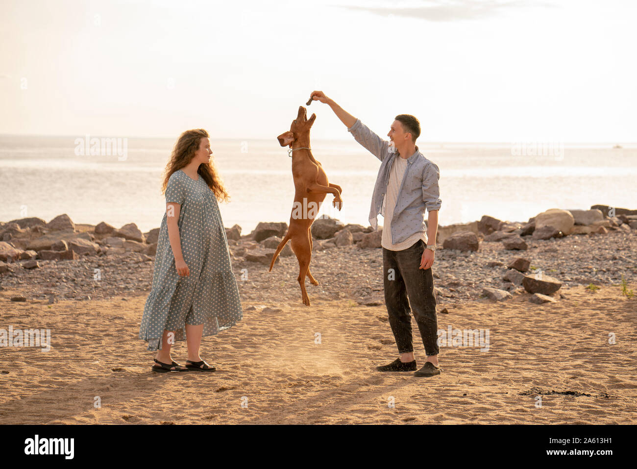 Junges Paar mit Hund am Strand, Hund springen Stockfoto