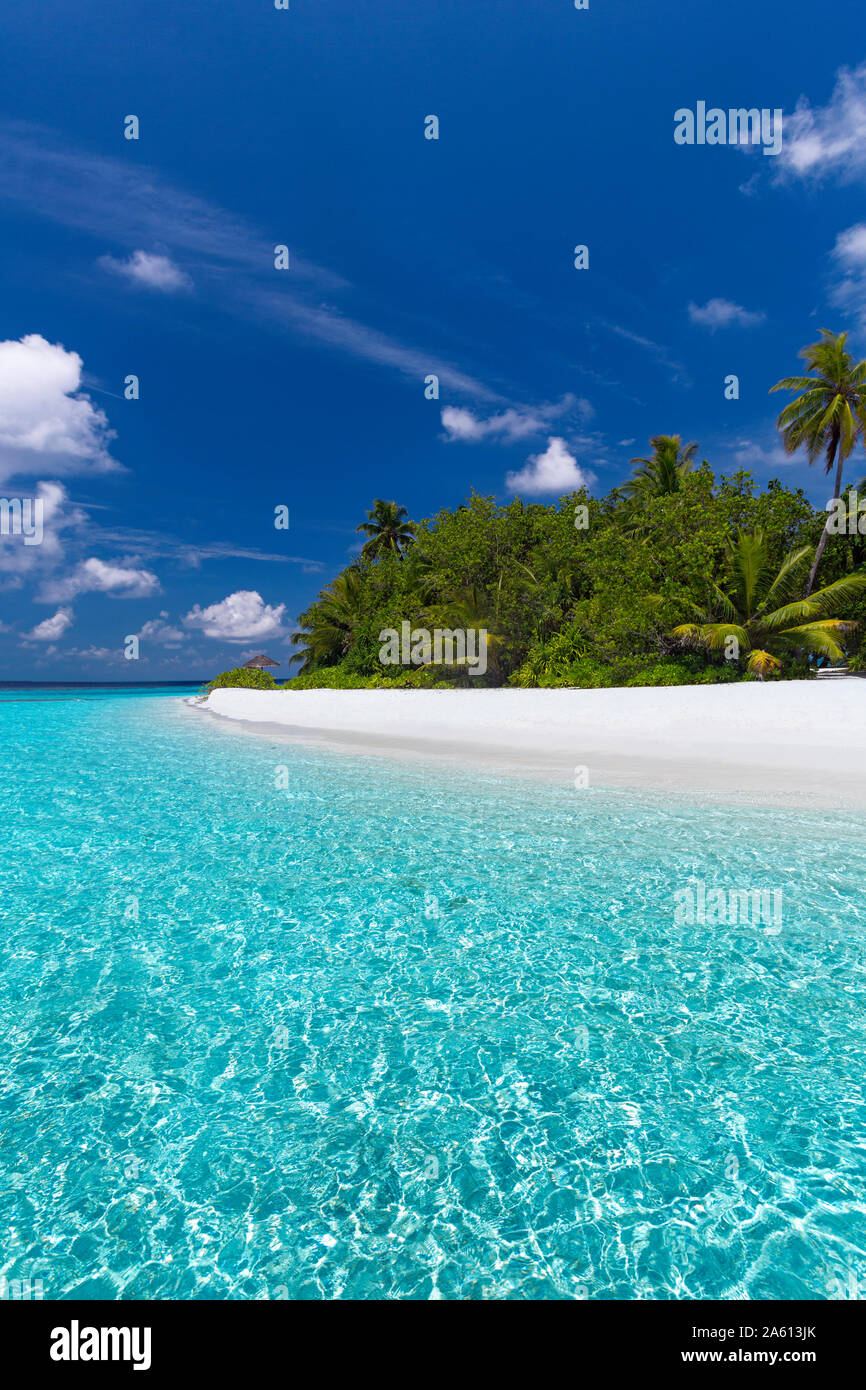 Schönen sandigen Strand, Lagune und Palmen, die Malediven, Indischer Ozean, Asien Stockfoto