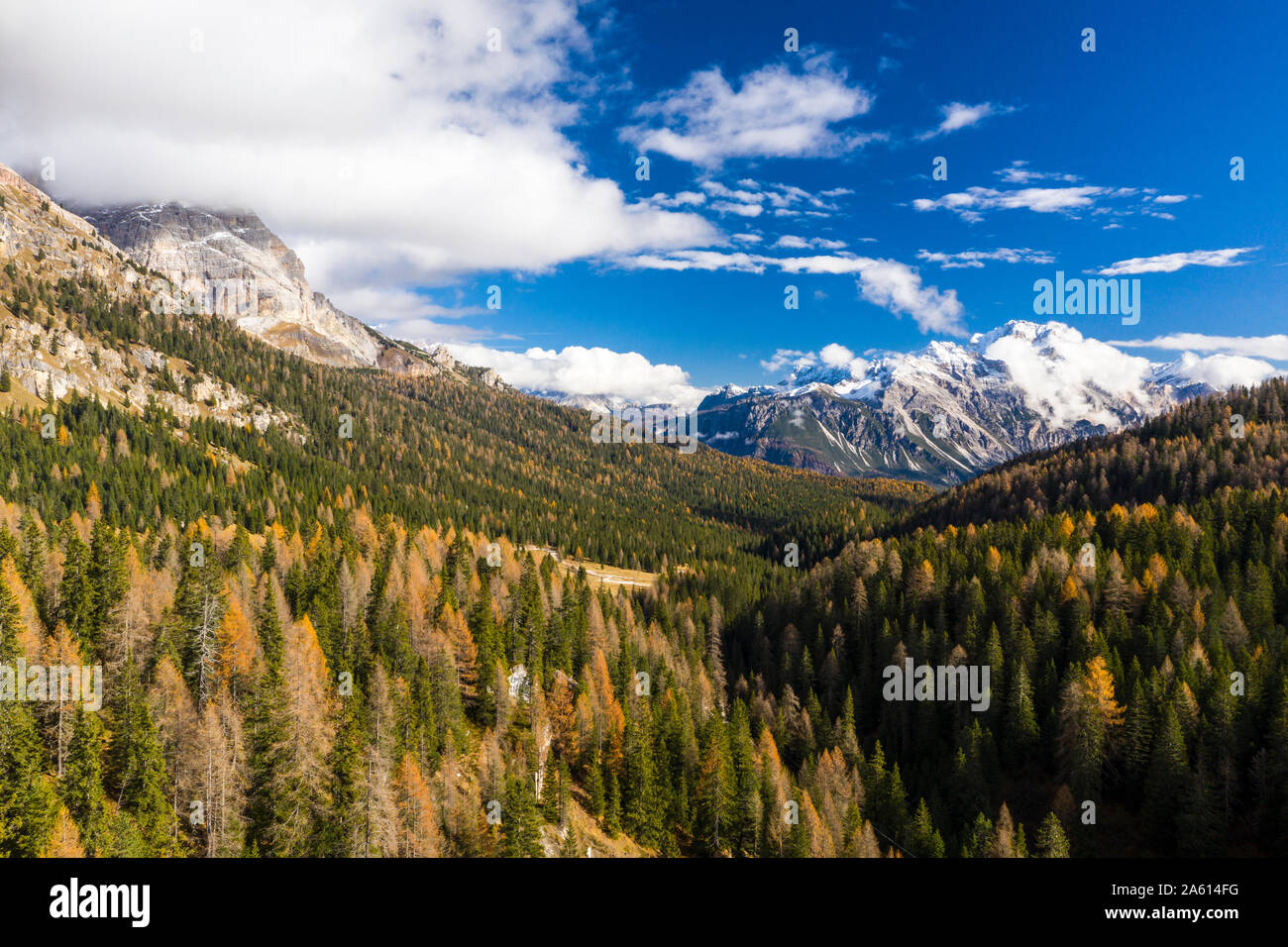 Herbst in der Nähe von Cortina d'Ampezzo in den Dolomiten, Venetien, Italien, Europa Stockfoto