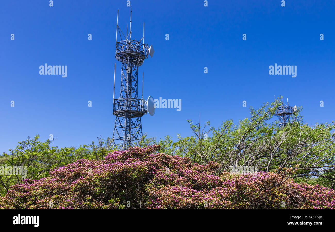 Detailansicht auf Telekommunikation und Fernsehen Türme im inneren Natur auf dem Gipfel des Mount Tsurumi. Beppu, Oita Präfektur, Japan. Stockfoto