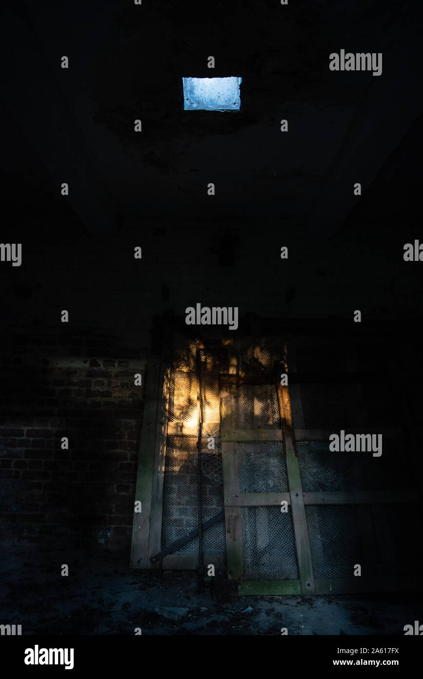 Dark spooky Zimmer mit Blatt verunreinigt Boden und Licht von oben, gut für ein Hintergrundbild für ein Horror themed zusammengesetzten Bild aufgegeben. Stockfoto