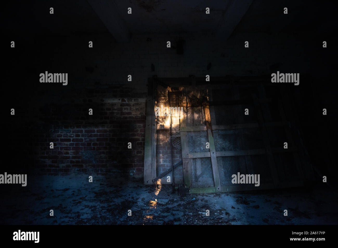 Gespenstisch dunklen verlassenen Zimmer mit Blatt übersät, Wand und Licht von oben, gut für ein Hintergrundbild für ein Horror themed Composite. Stockfoto