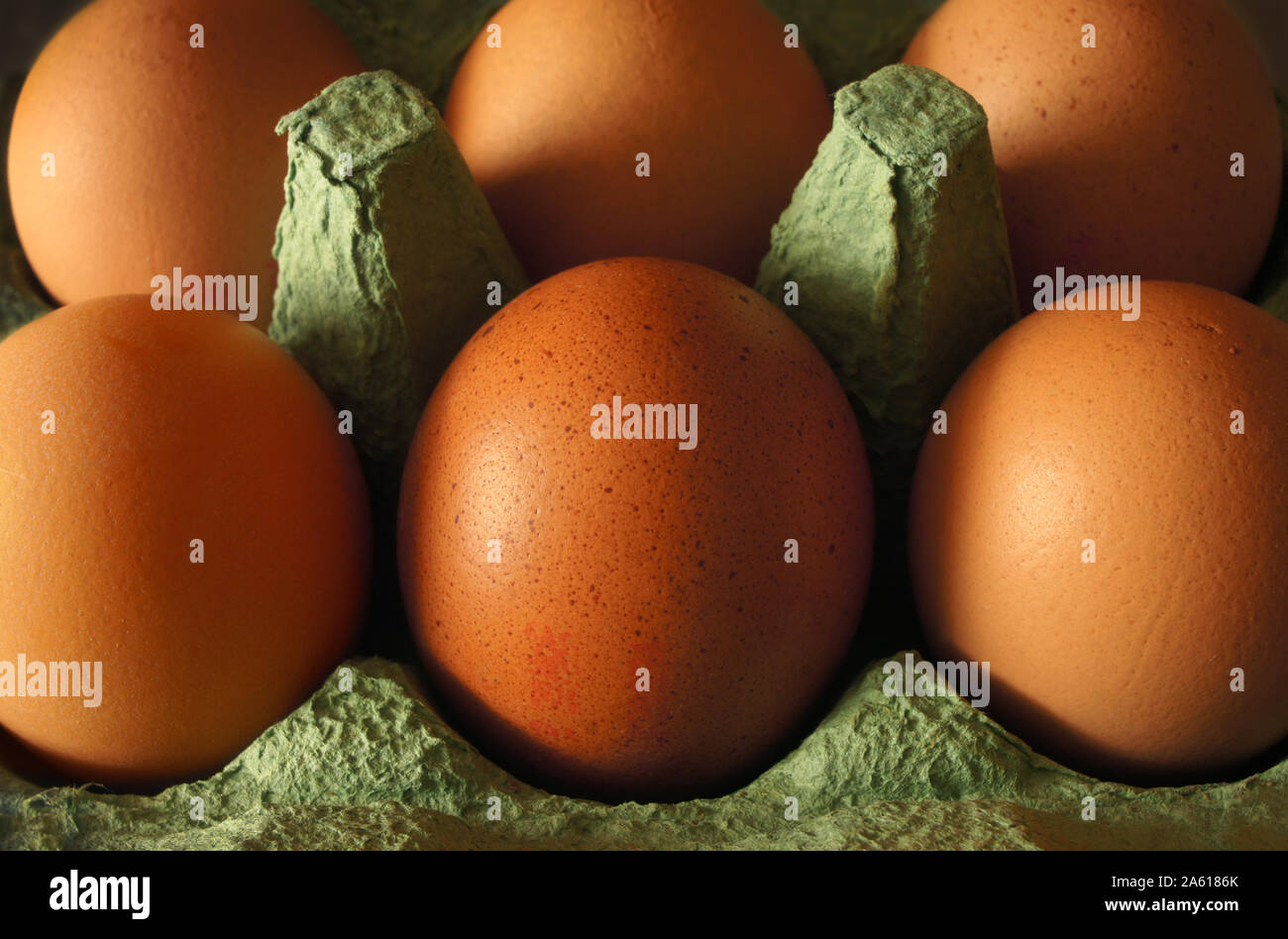 Nahaufnahme von Sechs braune Eier aus Freilandhaltung in einem Karton Ei Box Karton. Warme sonnendurchflutete Beleuchtung. Stockfoto