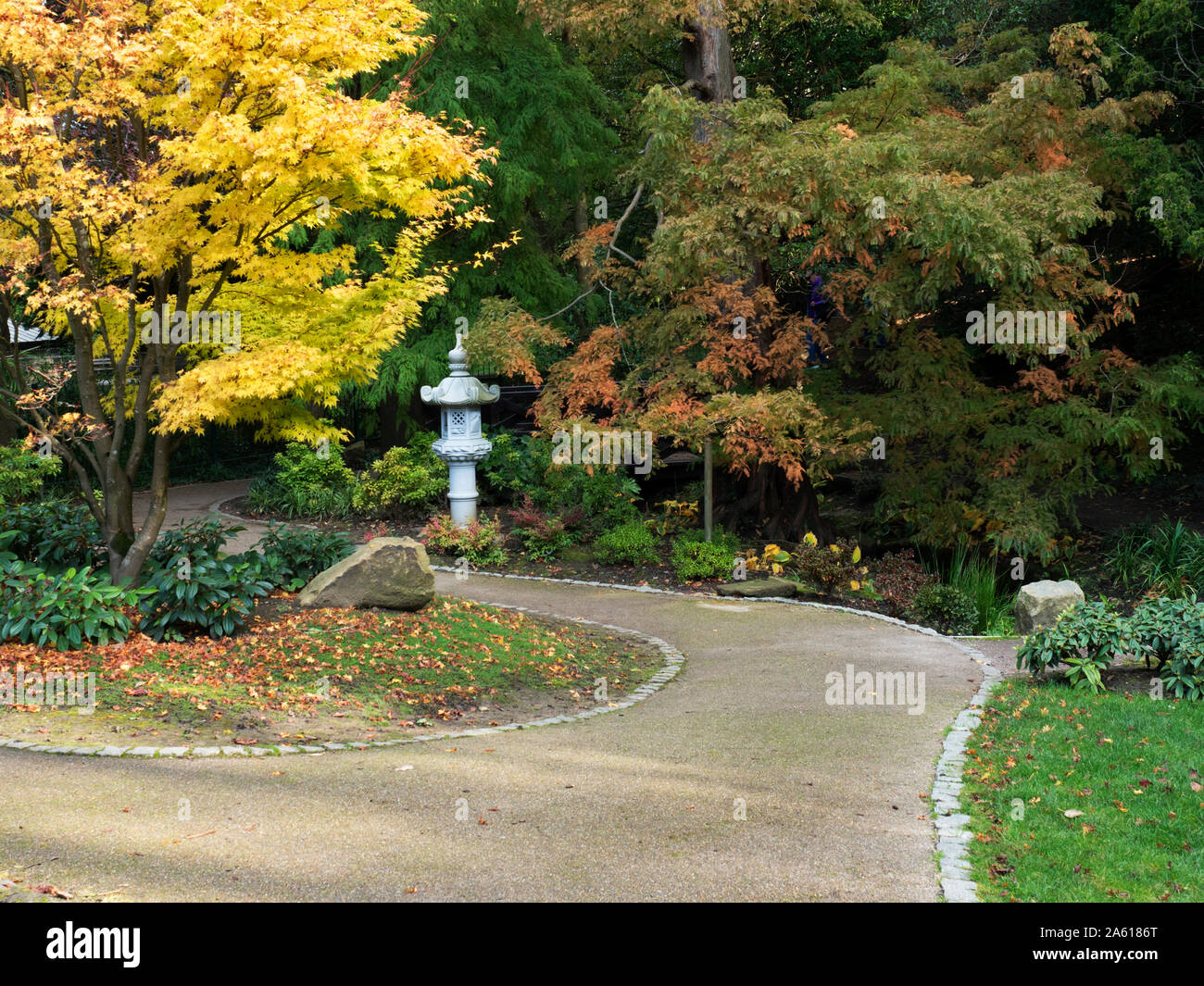 Der japanische Garten im Herbst im Tal Gärten in Harrogate, North Yorkshire England Stockfoto