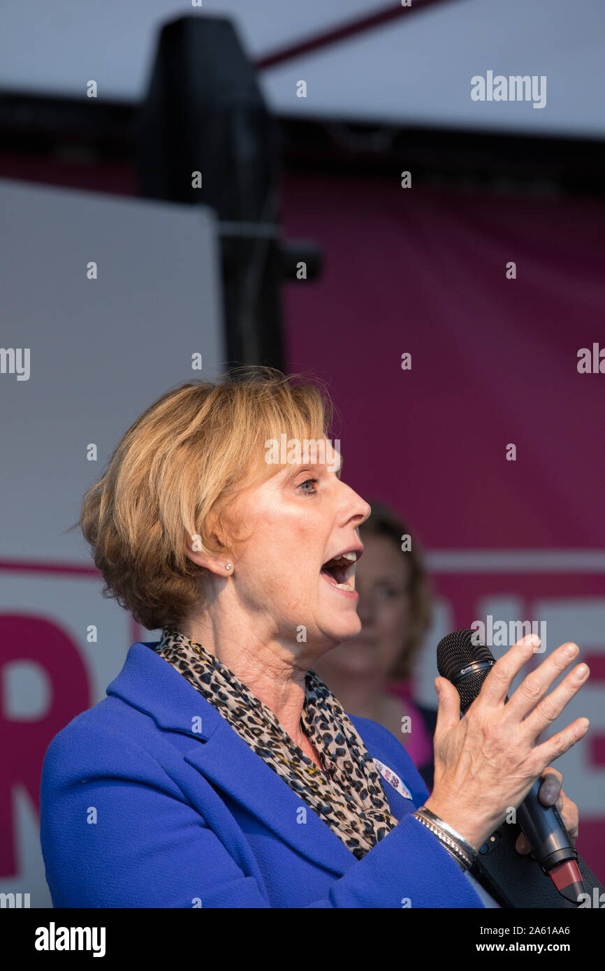 Westminster, London, Großbritannien. 19. Oktober 2019. Anna Soubry MP, unabhängige Gruppe Adressen der Rallye auf den Parliament Square. Haben MPs nur zugunsten von Oliver Letwin MP Änderung der Regierung Brexit Abkommen gestimmt. Hunderttausende Anhänger der 'Abstimmung' konvergieren auf Westminster für eine "endgültige sagen 'neuen Premierminister Boris Johnson's Brexit beschäftigen. Stockfoto