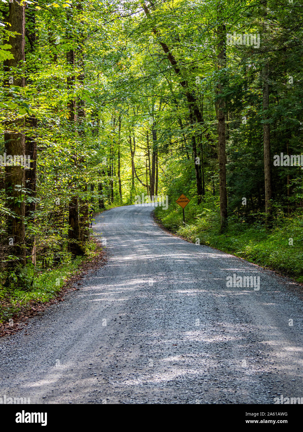 Kies Greenbrier Straße im Greenbrier Bereich der Great Smoky Mountains National Park in Tennessee in den Vereinigten Staaten Stockfoto