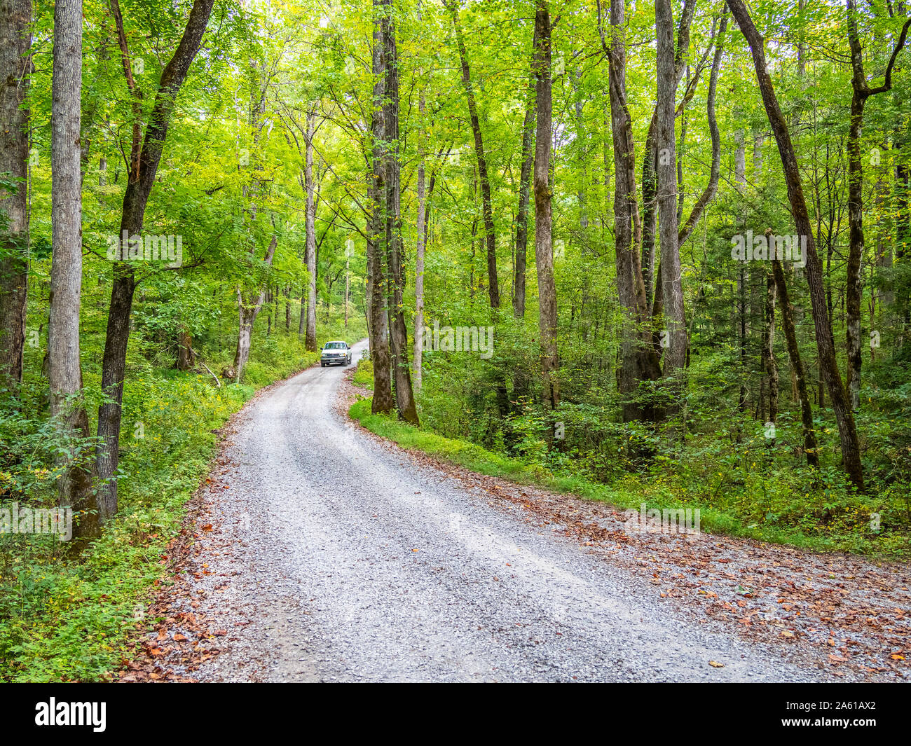 Kies Ramsey Prong Straße im Greenbrier Bereich der Great Smoky Mountains National Park in Tennessee in den Vereinigten Staaten Stockfoto