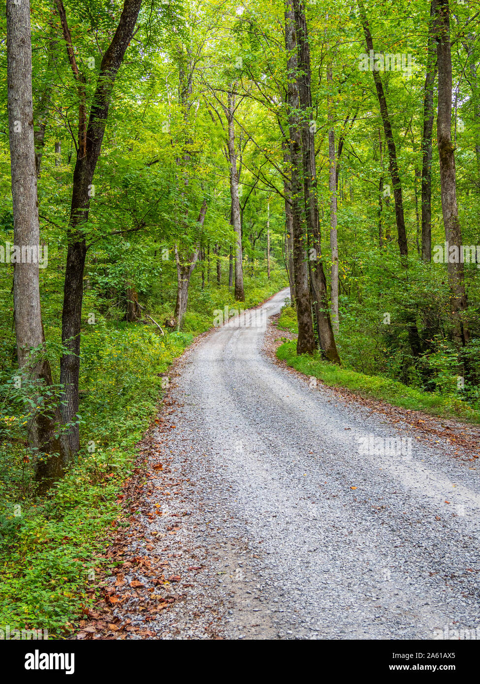 Kies Ramsey Prong Straße im Greenbrier Bereich der Great Smoky Mountains National Park in Tennessee in den Vereinigten Dtates Stockfoto