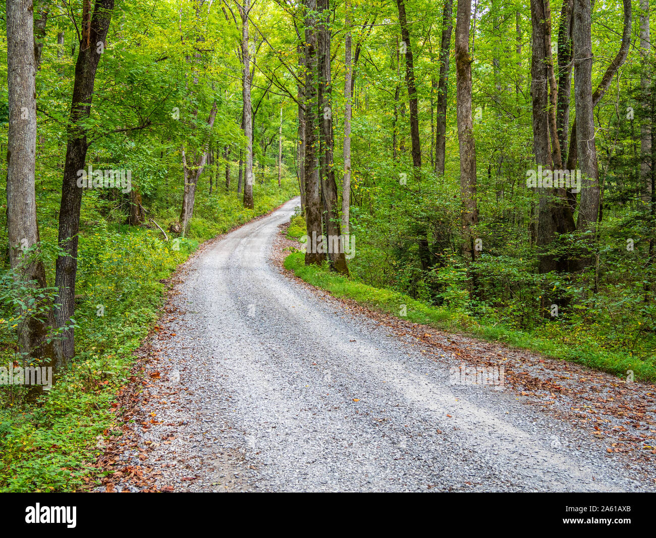 Kies Ramsey Prong Straße im Greenbrier Bereich der Great Smoky Mountains National Park in Tennessee in den Vereinigten Staaten Stockfoto