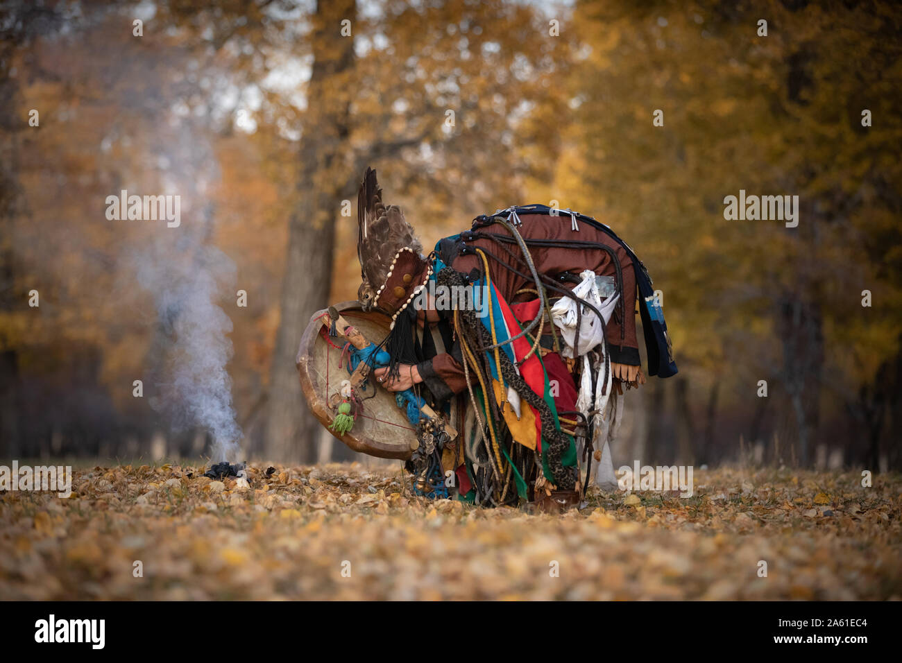 Traditioneller Mongolischer Schamane Durchführen einer traditionellen schamanistisches Ritual mit einer Trommel und Rauch in einem Wald im Herbst am Nachmittag. Ulaanbaatar, Mongo Stockfoto