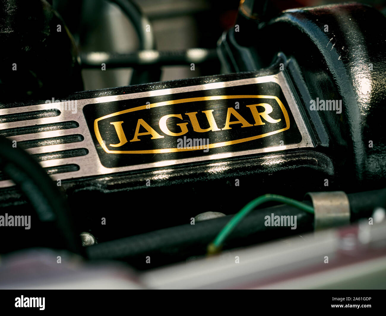 Detail der Jaguar E-Type 4.2 Liter Motor, ein 2-türiges Engländer Sportwagen zwischen 1961 und 1975 produziert. Stockfoto
