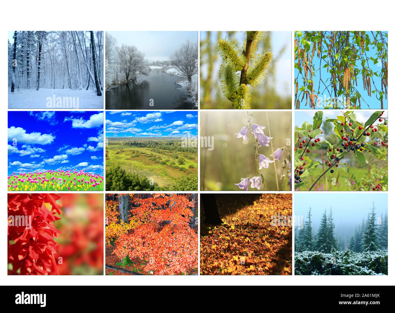 Leere mit unterschiedlichen Zwölf farbige Bilder der Natur für Kalender. Bereit Foto für den Kalender. Bilder für Kalender. Plakat für Office Stockfoto