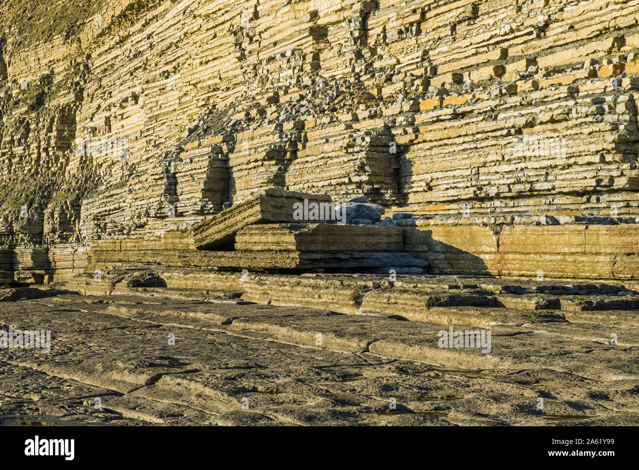 Dunraven Bay Limestone Cliffs an der Glamorgan Heritage Coast in Südwales. Diese befindet sich auf der Westseite des Strandes, die einige verfallene Platten zeigt. Stockfoto