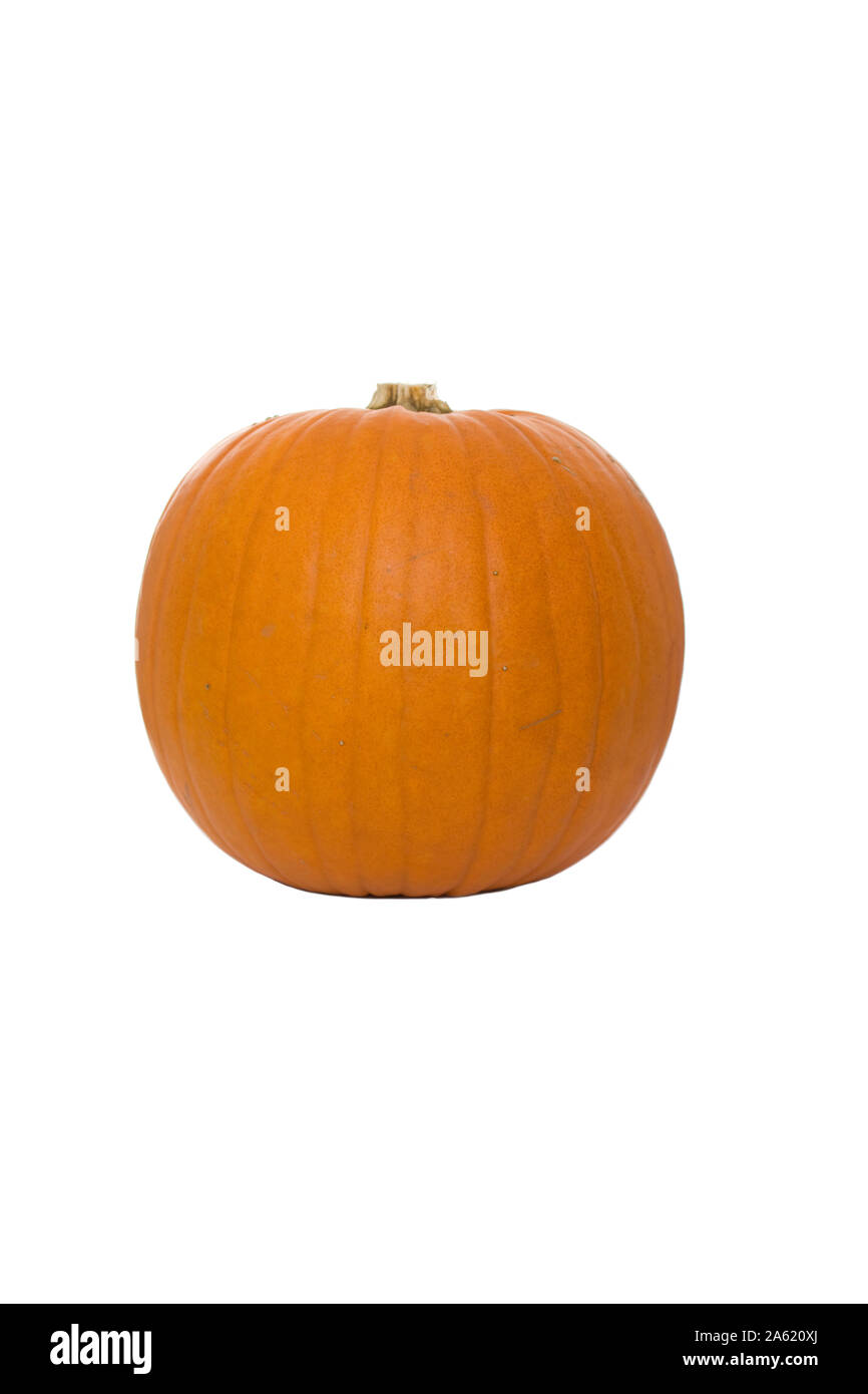 Ganze Kürbis auf weißem Hintergrund Stockfoto
