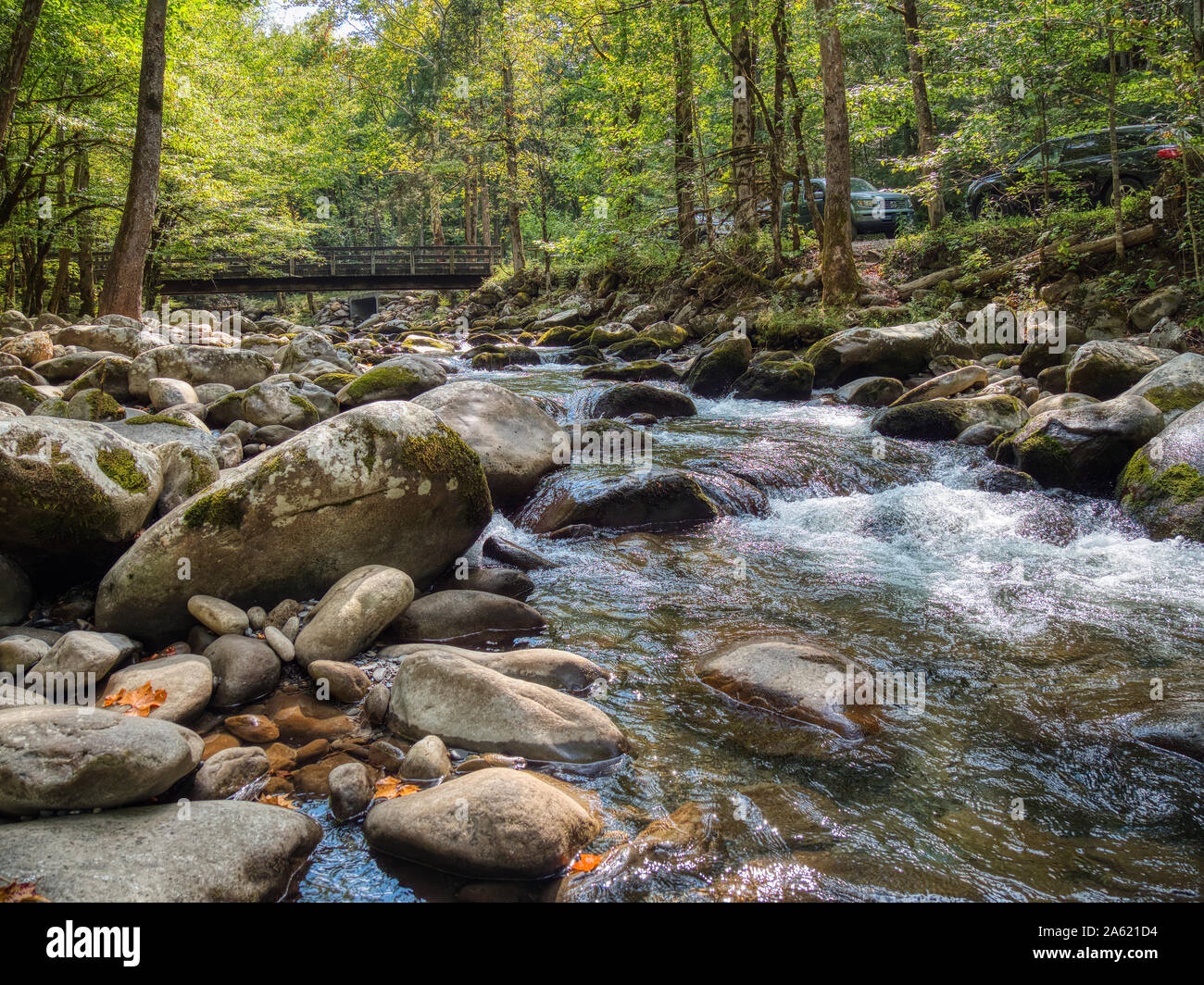 Little Pigeon River im Greenbrier Bereich der Great Smoky Mountains National Park in Tennessee in den Vereinigten Staaten Stockfoto