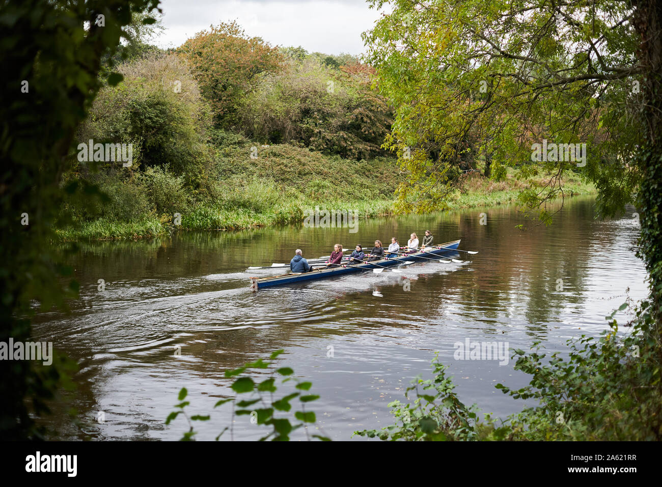 Die ruderer auf dem Fluss Liffey, Dublin, Irland. Stockfoto