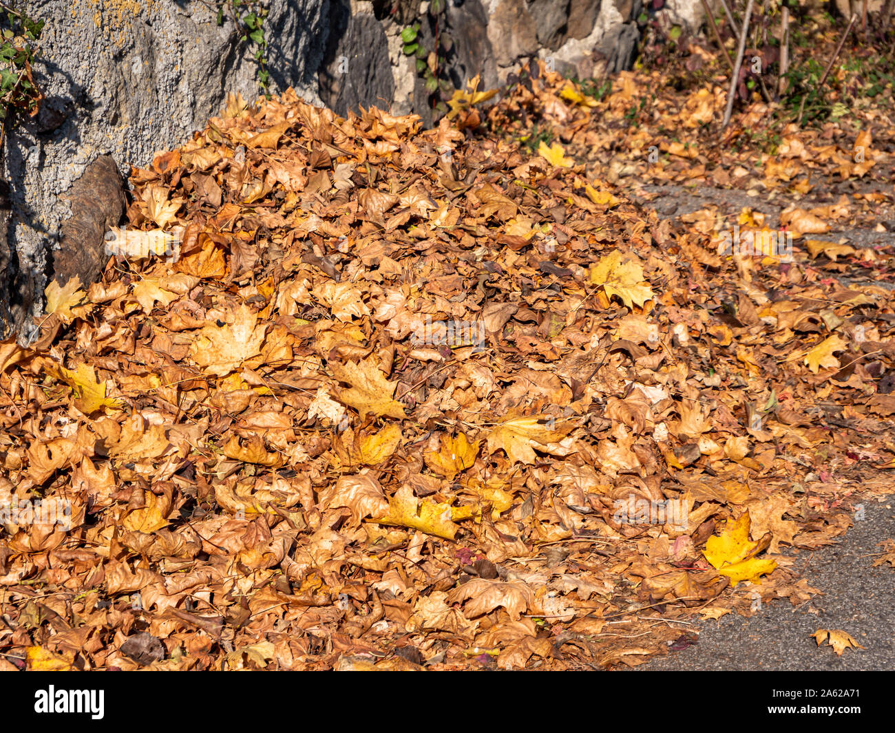 Stapel Blätter im Herbst Stockfoto