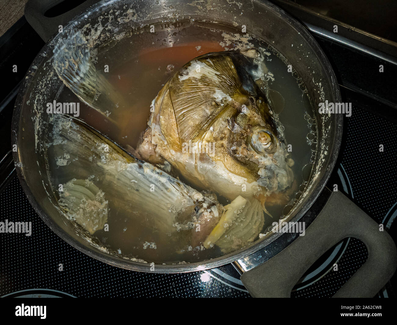 Eine gekochte Karpfen Kopf schwebt in Fisch Brühe in einen Kochtopf. Stockfoto