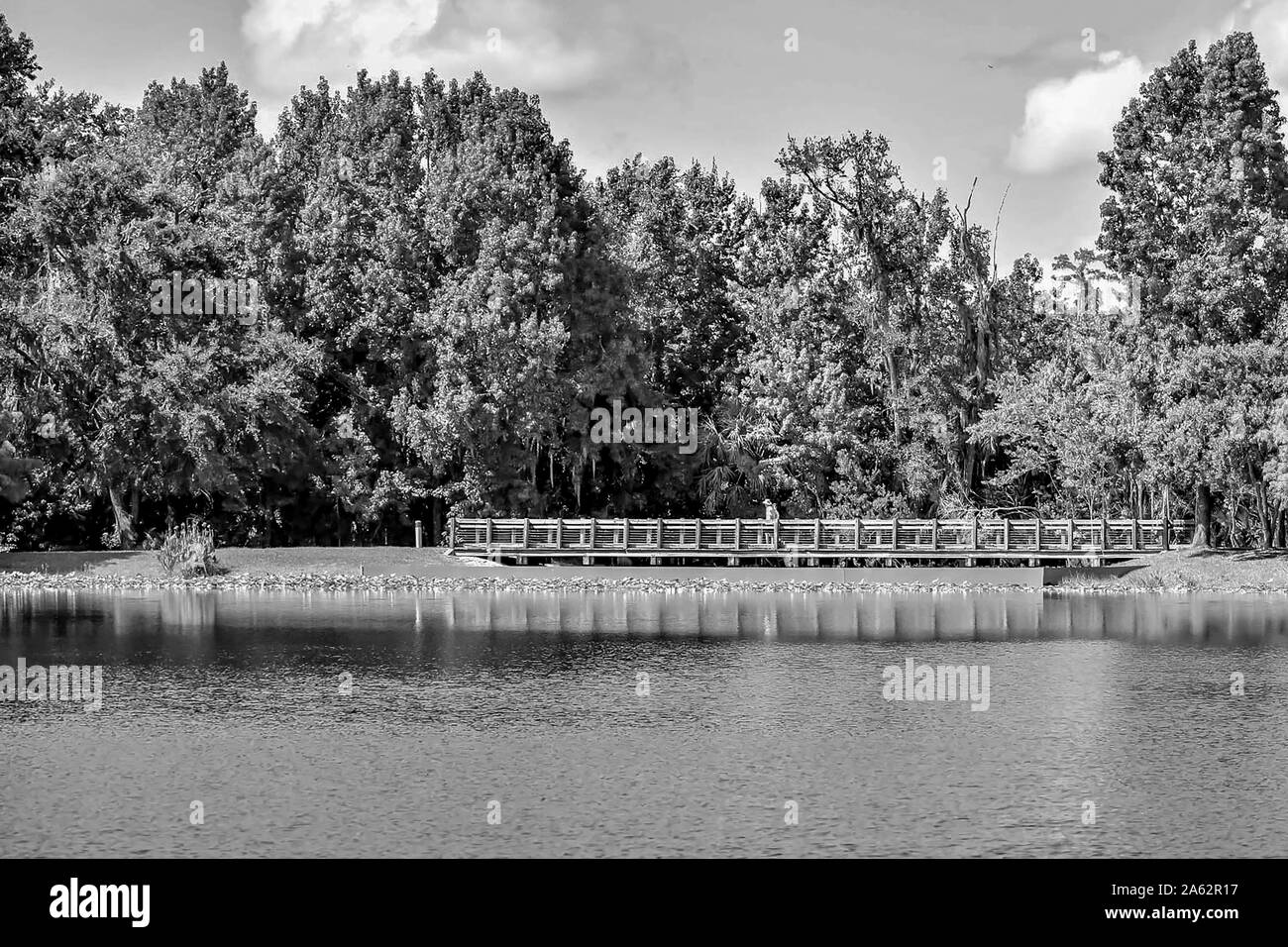 Orlando, Florida. Januar 15, 2019. Wunderschöne natürliche Landschaft mit Wald, Holz Brücke und Blauer See an der Feier in der Stadt Kissimmee Bereich Stockfoto