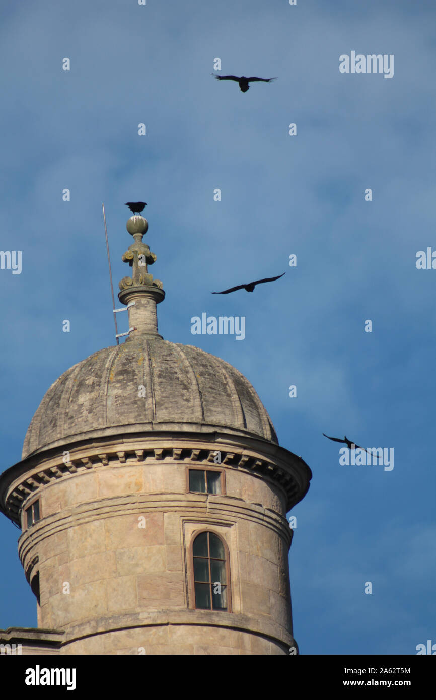 Die Krähen kreisen den Turm von wollaton Hall in Nottingham. Stockfoto