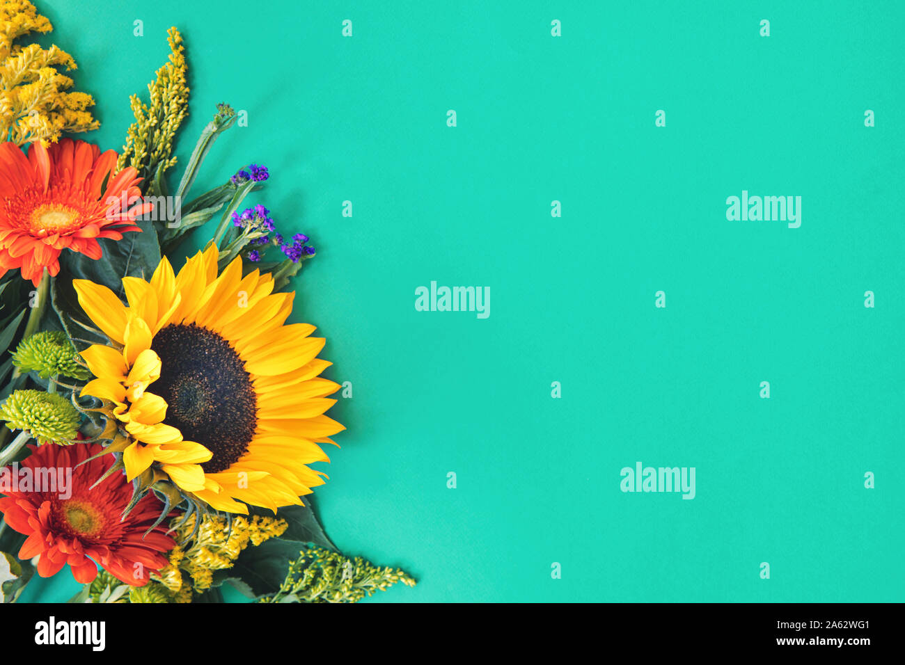 Ecke Grenze von verschiedenen frischen hellen bunten Sommerblumen liegen auf trendigen Minze Hintergrund. Flet lay Stil. Kopieren Sie Platz. Stockfoto