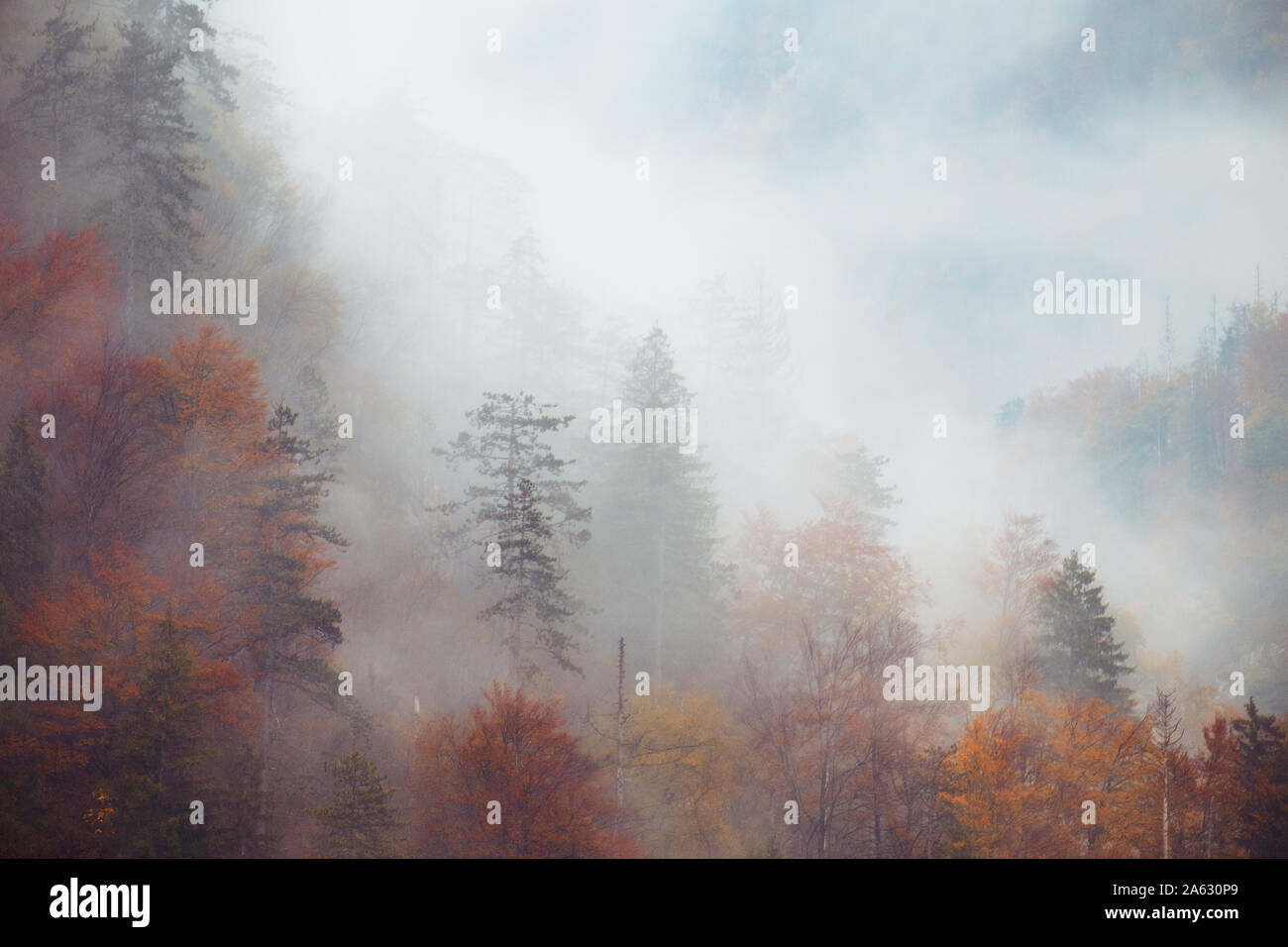 Landschaft von Misty Mountain Hills an den Herbst in Slowenien Stockfoto