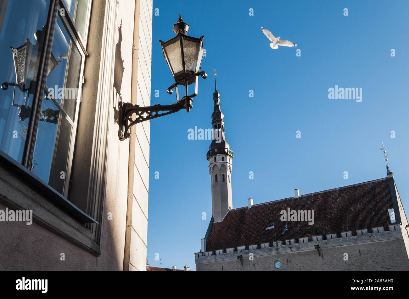 Blick auf das Rathaus turm gegen den blauen Himmel, Tallinn, Estland Stockfoto