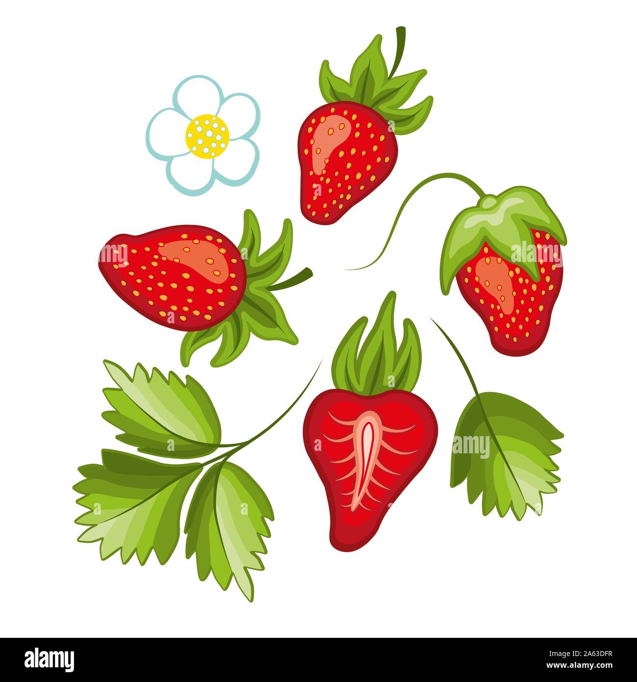 Satz Reifen süße Erdbeere und Blume mit Blättern. Vektor. Stock Vektor