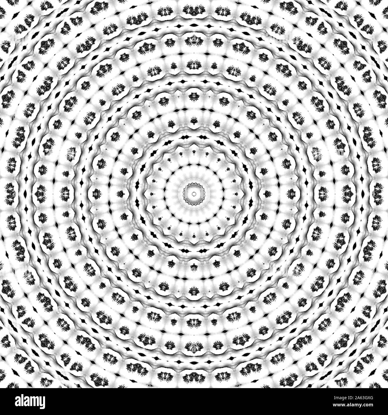 Florale kaleidoskopartige Muster. Einfarbige geometrische Verzierung. Mandala. Abstrakte schwarzen und weißen Hintergrund Stockfoto