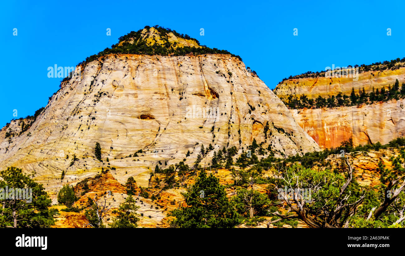 Die weißen Gipfel der Sandstein Berge und Hochebenen entlang des Zion-Mt. Carmel Highway am Ostrand des Zion National Park, Utah, United States Stockfoto