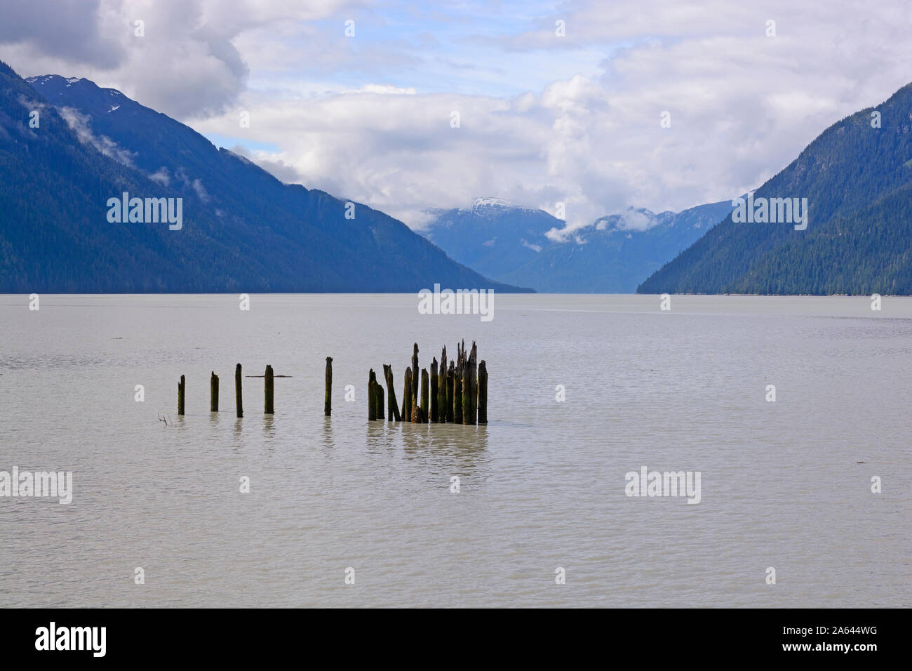Alte Dock Beiträge in ein Meer der Bucht von Hyder, Alaska Stockfoto