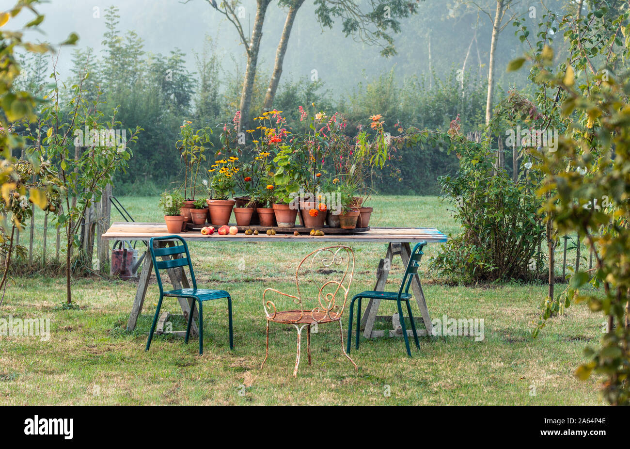 Tabelle im Obstgarten mit blühenden Pflanzen in Töpfen Stockfoto