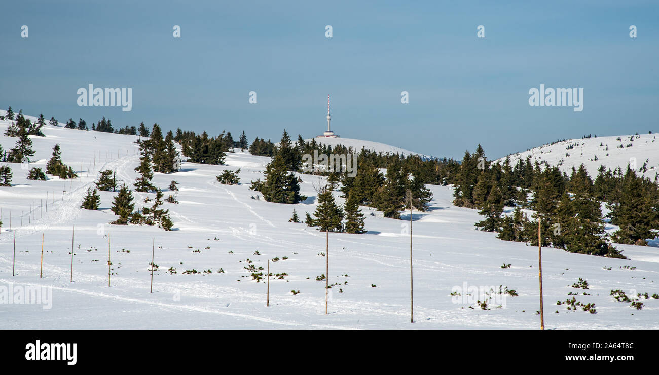 Blick auf praded Hügel mit Kommunikation Turm aus Wanderweg balg Pecny Hügel in Gesenke in der Tschechischen Republik während schöner Wintertag mit c Stockfoto