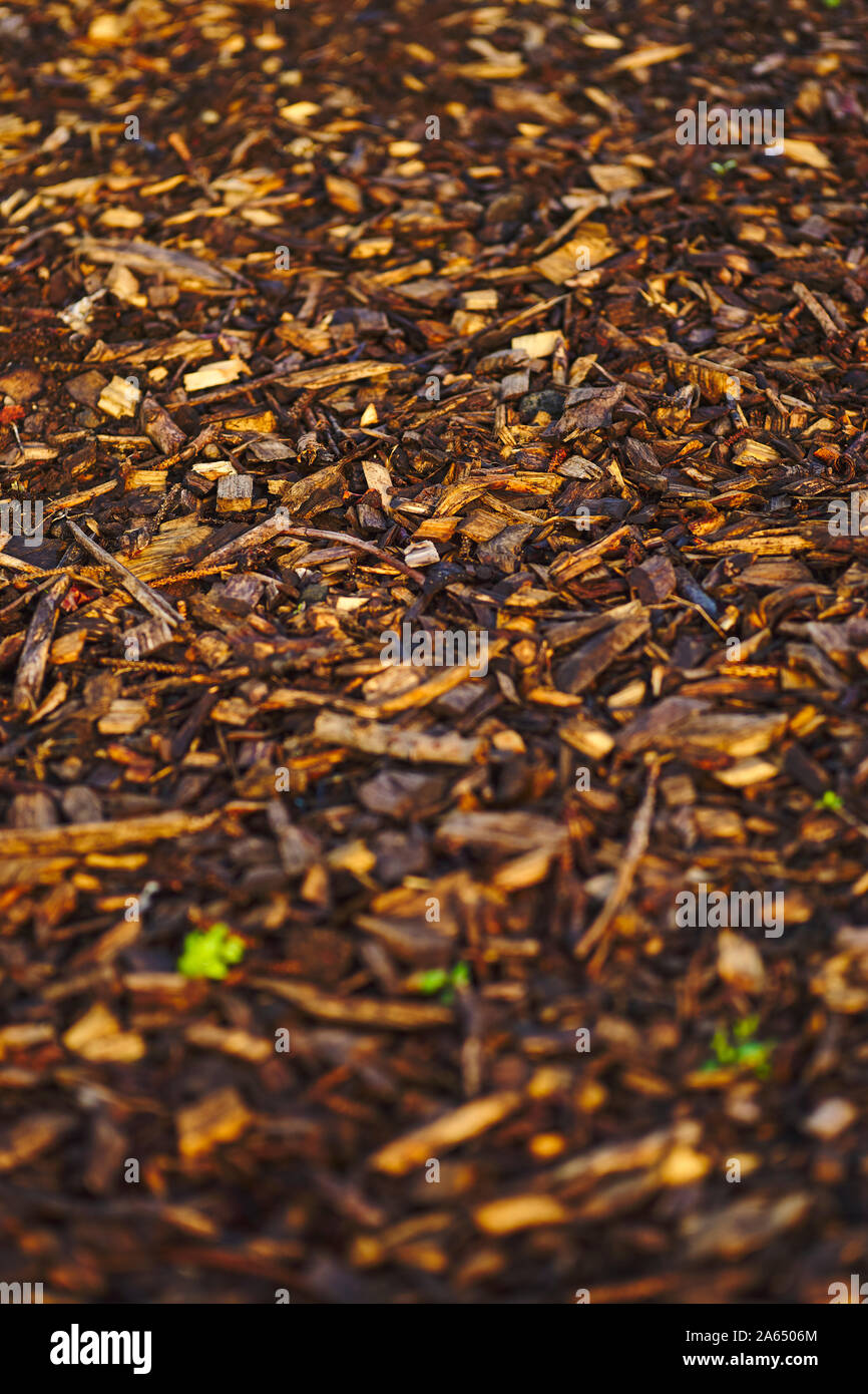 Nahaufnahme Hintergrund Abbildung mit Wald bedeckten Pfad im Zentrum von REykjavik, nass im Herbst Stockfoto