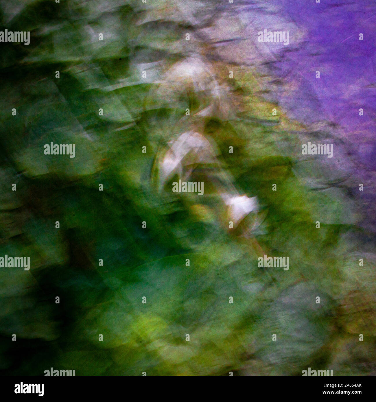 Abstraktes Bild von Seerosen im Teich, impressionistisch von Monets Gemälde inspiriert Stockfoto