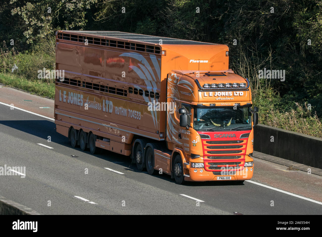 L E JONES Vieh Transport orange Scania Reisen auf der Autobahn M6 in der Nähe von Preston in Lancashire, Großbritannien Stockfoto