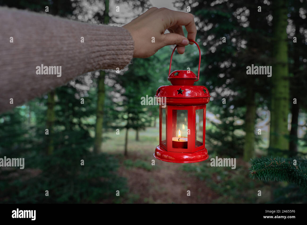 Frau mit roten Weihnachten Laterne in der Abenddämmerung in einem Pinienwald weihnachtliche Stimmung Stockfoto