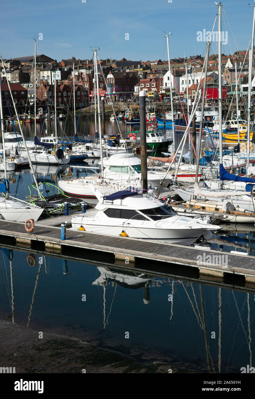 Yachten, Vergnügungsboote und Boote, die in der Marina und im Hafen von Scarborough North Yorkshire England, Vereinigtes Königreich, festgemacht sind Stockfoto