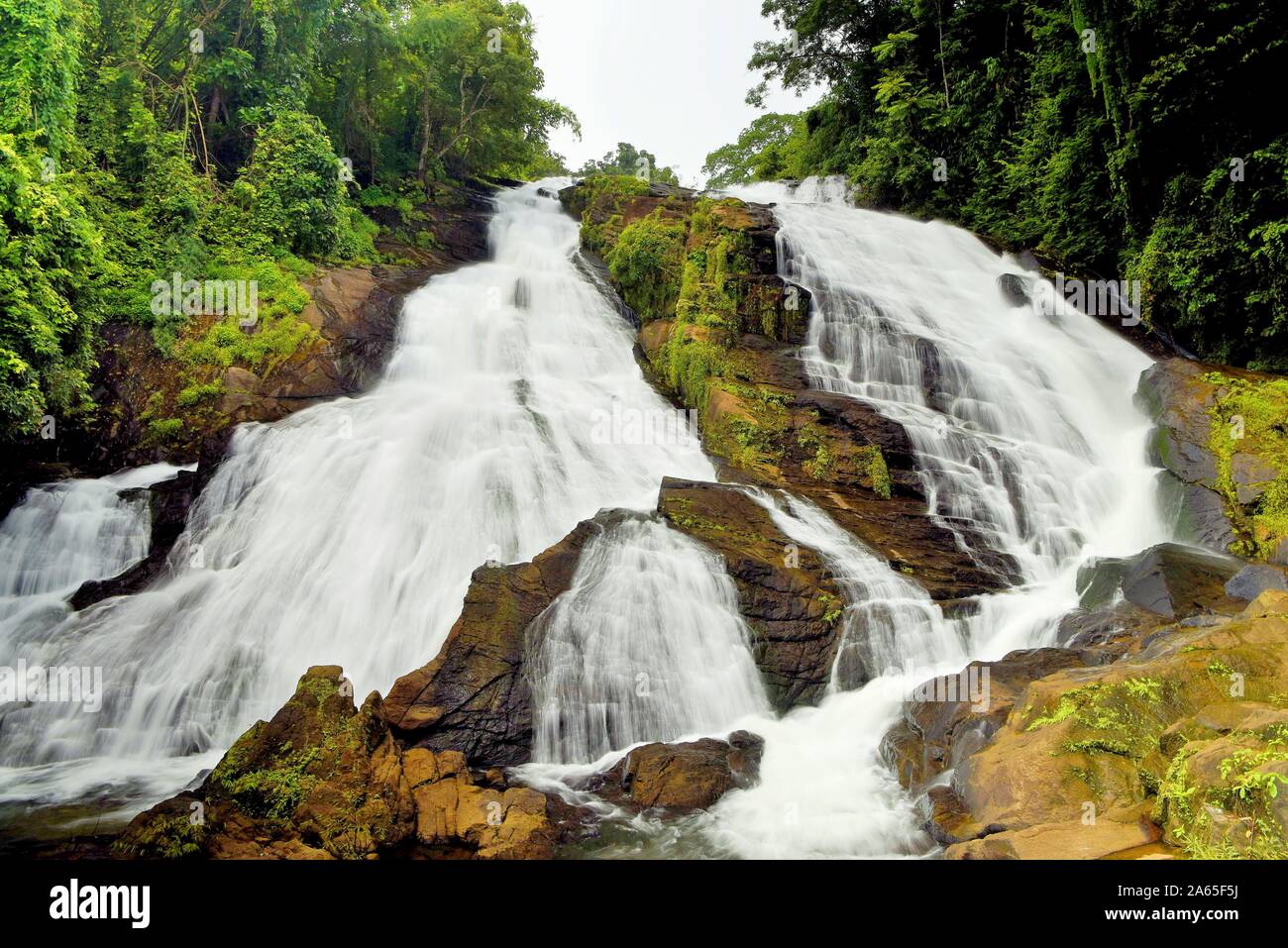 Chalakudy charpa Wasserfälle, Fluss, Thrissur, Kerala, Indien, Asien Stockfoto
