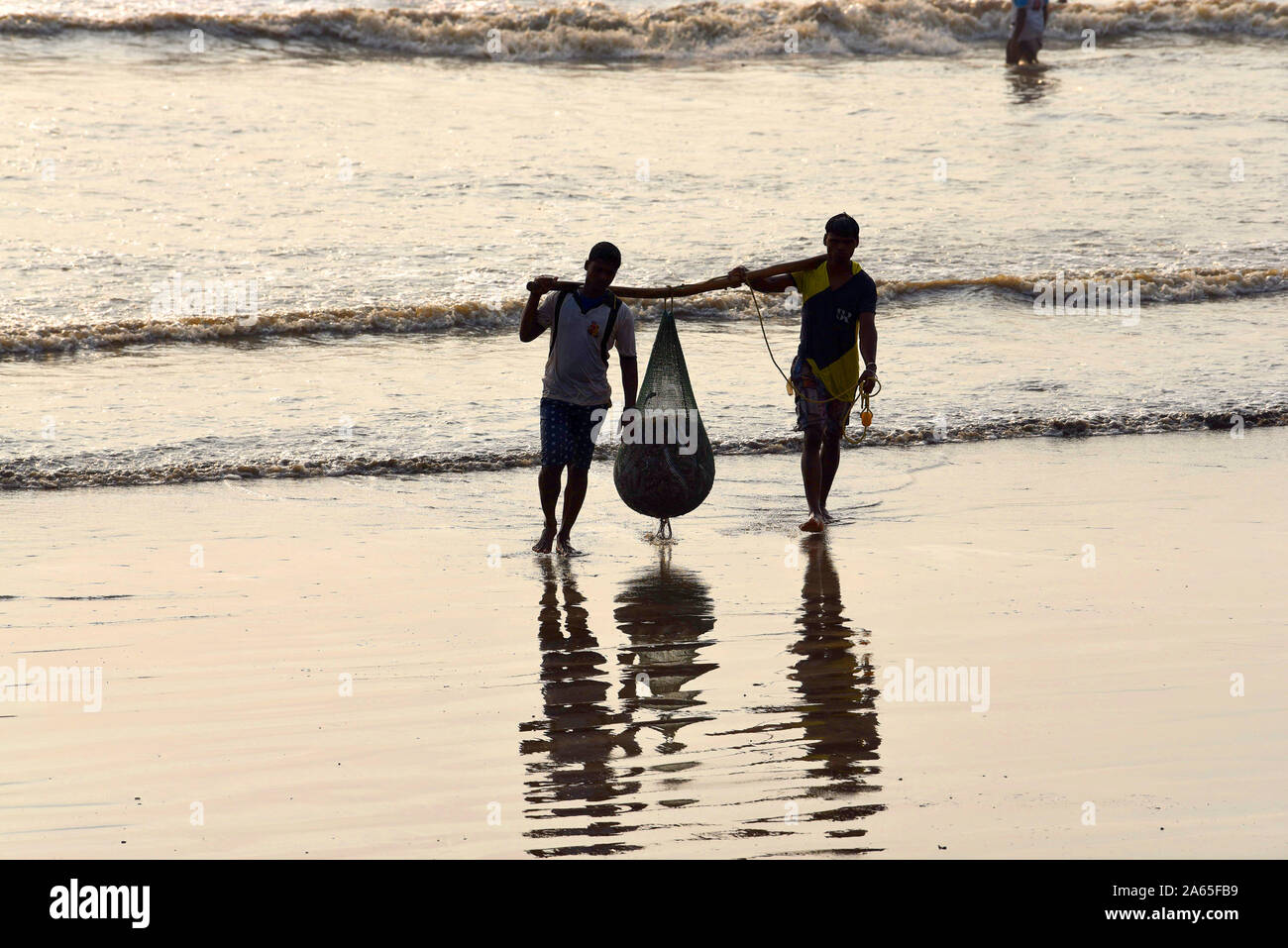 Fischer, die Fische vom Boot zum Strand, Bhayandar Uttan, Mumbai, Maharashtra, Indien, Asien Stockfoto