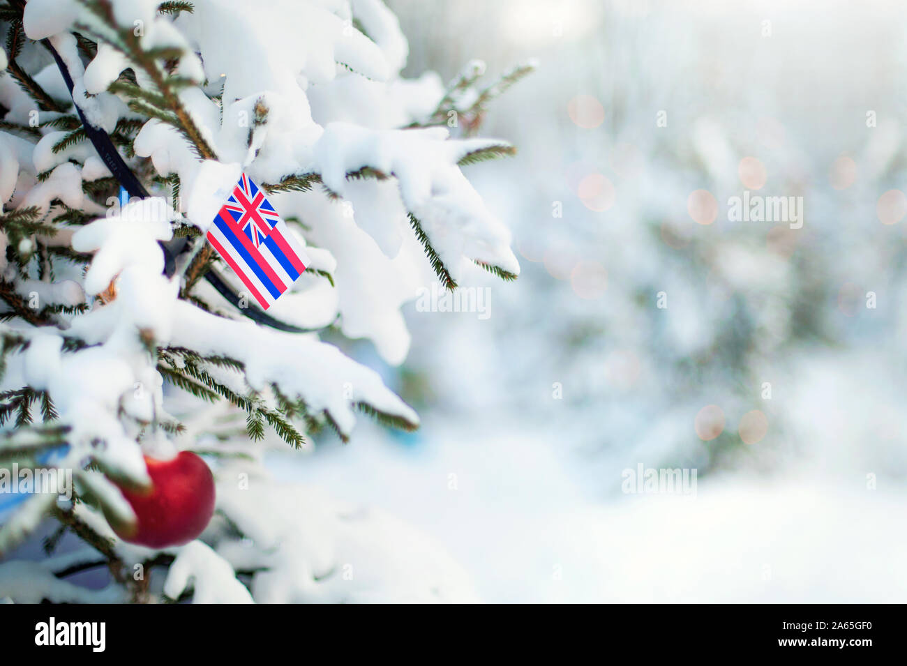 Oregon Flagge. Christmas tree branch mit einer Flagge Hawaii State. Weihnachten Urlaub Grußkarte. Winterlandschaft im Freien. Stockfoto