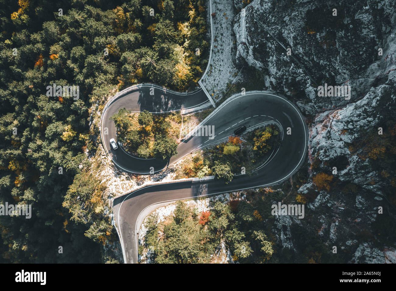 Straße in den herbstlichen Wald Luftbild Stockfoto
