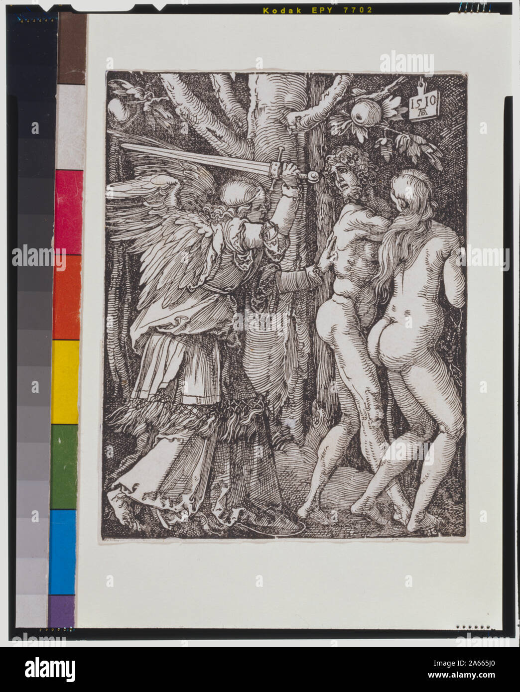 Kleine Leidenschaft die Vertreibung aus dem Paradies Stockfoto