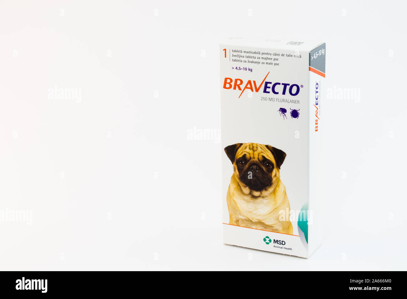 Cluj-Napoca/Rumänien-10 24 2019: Bravecto Kautabletten Tick und Flohmarkt Tablet Stockfoto