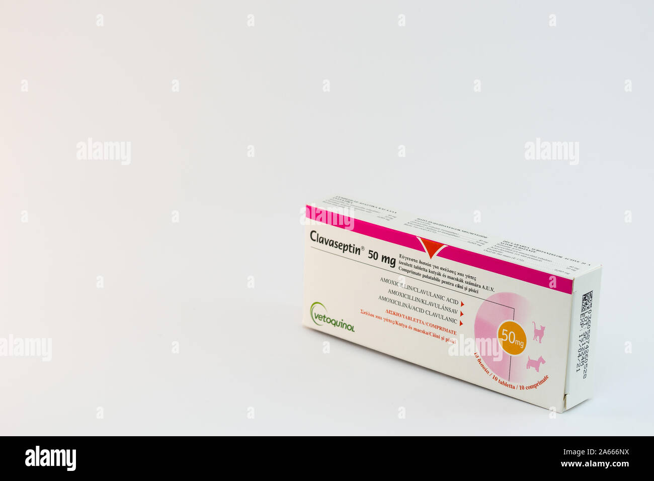 Cluj-Napoca/Rumänien-10 24 2019: Clavaseptin Tabletten für Hunde und Katzen  produziert von Vetoquinol. Die orale Anwendung von Antibiotika  Stockfotografie - Alamy