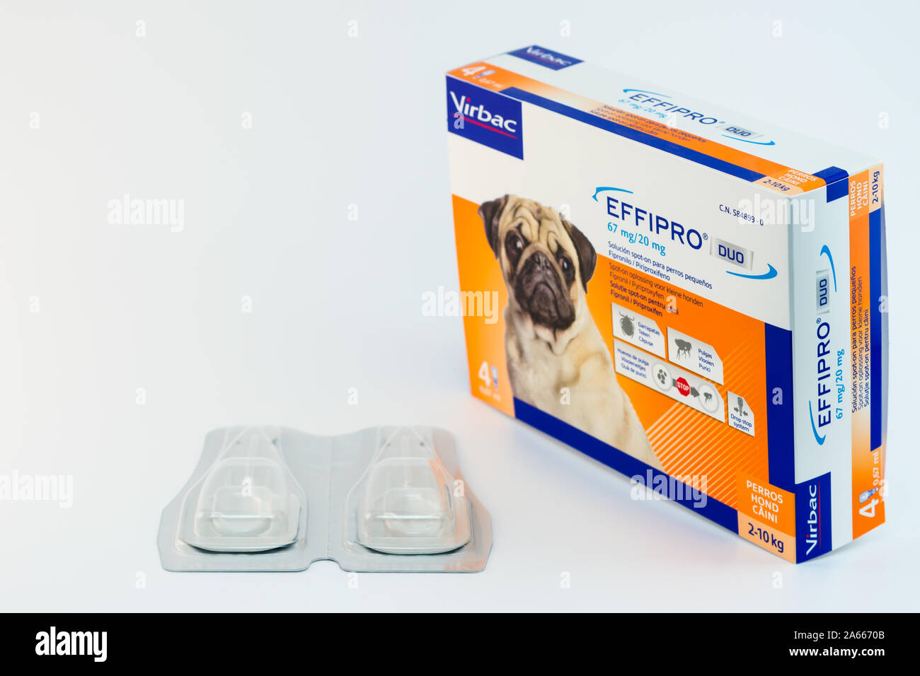 Cluj-Napoca/Rumänien-10 24 2019: Virbac EFFIPRO Plus aktuelle Lösung für kleine Hunde Stockfoto