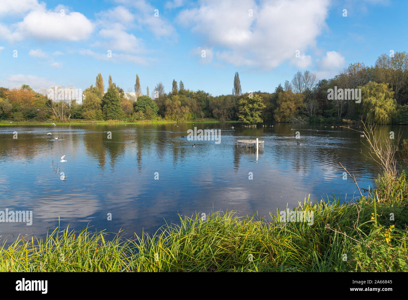 Herbst Farben um Perry Reservoir in Perry Park, Perry Barr, Birmingham, Großbritannien Stockfoto